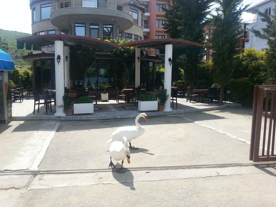 Hotel Saint Marena Pogradec Zewnętrze zdjęcie